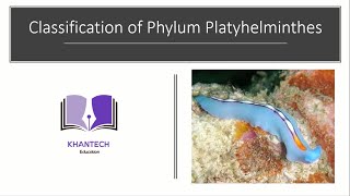 Phylum Platyhelminthes  Classification of Phylum Platyhelminthes [upl. by Ljoka430]