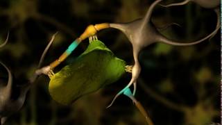 Neuronal Degeneration 3D [upl. by Sirapal]