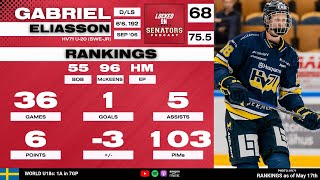 2024 NHL Draft Prospect Profile Gabriel Eliasson [upl. by Elacim]