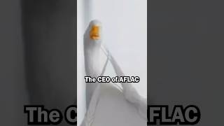 Aflac Duck Is Insider Trading [upl. by Madison]