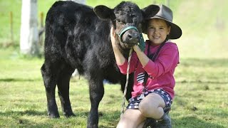 Ngatapa School Pet Day Gisborne [upl. by Ydollem248]