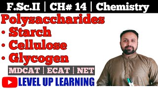 Polysaccharides  Starch  Cellulose  Glycogen  Macromolecules  CH14  FScII Chemistry  ECAT [upl. by Guenevere554]