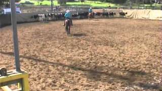 Team Penning Gympie 260910mp4 [upl. by Cassie]