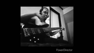 Pig face by Greyhound Bass cover [upl. by Ynoffit213]