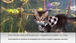 La couleur de leau la télédétection et la santé des lacs [upl. by Vachel]