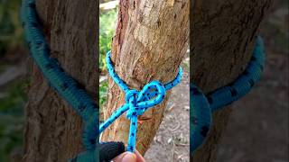 This way you can use to tie a hammock knotsknottutorial easyknot bestknots knotskill [upl. by Palla]