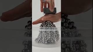 Neodymium Magnet science [upl. by Primavera655]