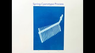 How to Cyanotype Spring Process satisfyingart viralart [upl. by Fricke]