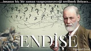 ENDİŞE 💫EGO  TRAVMALAR  SIGMUND FREUD  SESLİ KİTAP [upl. by Ikilisav778]