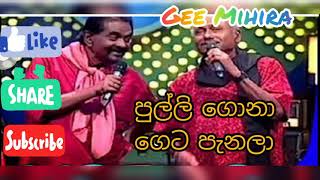 pulli gona geta panala පුල්ලි ගොනා ගෙට පැනලා [upl. by Namara]