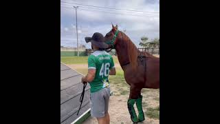 NATHAN QUEIROZ JÁ EMBARCANDO DANONE LÉO DESCER PARQUE BEMAIS X1 [upl. by Idham]