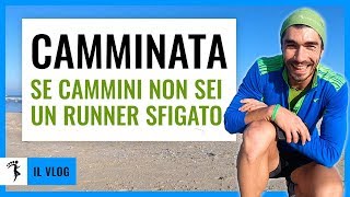 LIMPORTANZA DELLA CAMMINATA PER CHI CORRE runner se cammini non sei uno sfigato  VLOG [upl. by Eleazar379]