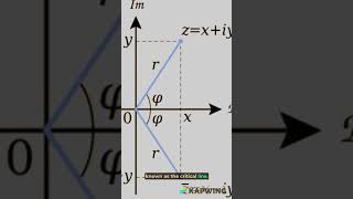 The Riemann Hypothesis Unraveling Prime Number Mysteries shorts [upl. by Ronn629]