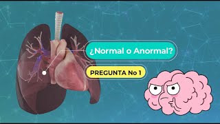 Sonidos Respiratorios Normales y Anormales  Guía Medica [upl. by Cordier]