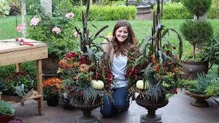 How to Create a Gorgeous Fall Planter [upl. by Veradi]