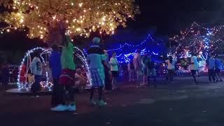 Under the almond trees Friday night bequia [upl. by Rothmuller]