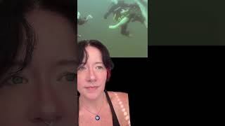 Scuba Diving Resort Part 2 shark sharks scubadiving submechanophobia horrorshorts viralvideo [upl. by Annawaj]