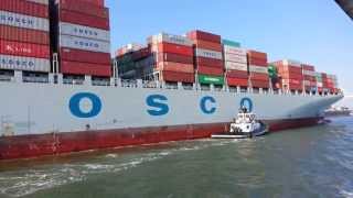 Ferry Ride View Port of Oakland Container Ship Cosco Indonesia close up [upl. by Zacherie242]