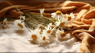 Ancient Herbal Plants with Modern Medicinal and Magical Uses [upl. by Helms565]