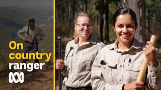 Being a ranger on country at Carnarvon Gorge  ABC Australia [upl. by Ardnait962]