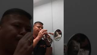 carol brass eb soprano cornet testing 2 [upl. by Jc]