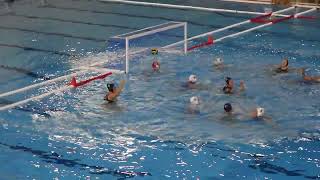 Pallanuoto Trieste vs Tenerife Echeyde 26 ottobre 2024 [upl. by Stepha]