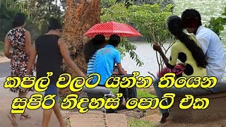 Places to Visit in Sri Lanka for Couples  Sri Lanka Park For Lovers [upl. by Nagud]