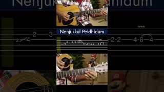 Nenjukkul Peidhidum  Intro  Guitar Tabs Lesson [upl. by Enovahs]