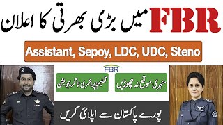 FBR Latest Jobs 2023 Federal Board of Revenue Jobs For Males amp Females FBR Jobs [upl. by Naelcm]