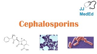 Cephalosporin Antibiotics 1st to 5th Generation Mechanism Side Effects and Bacterial Targets [upl. by Boyse]