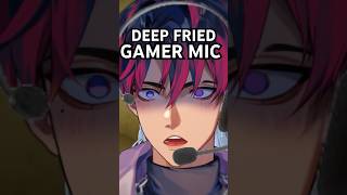 THE DEEP FRIED MIC OF LEGEND [upl. by Affrica310]