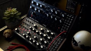 17 Minutes of Moog Subharmonicon and DFAM sequences  Ambient Electronic mostly [upl. by Rases]