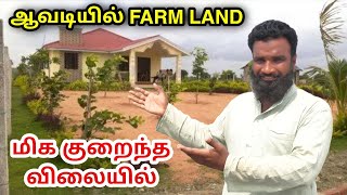 வருமானம் தரும் FARM LAND  Farm Land for Sale in Chennai at Avadi [upl. by Ger]