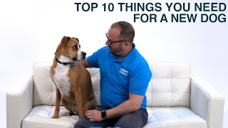 Things You Need for a New Dog or Puppy  PetSmart [upl. by Aicital]