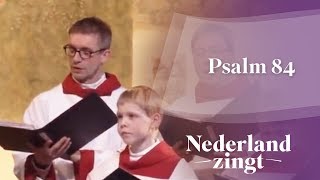 Nederland Zingt Psalm 84 [upl. by Ahsatsan]