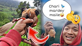 CHARI 🐦️ MAARYA MAILE Timepass gardai ho aru kei hoina🐵😁 [upl. by Newmann]