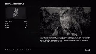 Red Dead Redemption 2  Coastal Owl Spawn location [upl. by Biddie671]