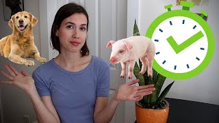 Speciesism Explained in 5 Minutes [upl. by Flita627]