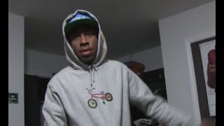 WOLF DOCUMENTARY  Tyler The Creator 720P [upl. by Ornas]