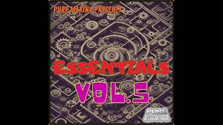 Pure Makina presents  Essentials Vol 5 [upl. by Eelra]