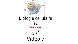 biologie cellulaire s1 vidéo 07  Les virus شرح [upl. by Eiboh]