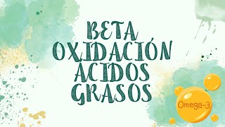 BETA OXIDACIÓN ÁCIDOS GRASOS [upl. by Rehposirhc]