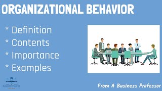 What is Organizational Behavior With Real World Examples  From A Business Professor [upl. by Nirrej]