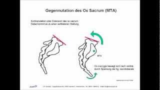 ISG Ilio Sacral Gelenk Biomechanik Manuelle Therapie Osteopathie Skript [upl. by Ojok]