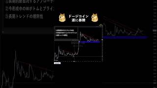 ドージコイン遂に暴騰 doge 仮想通貨バブル ドージコイン [upl. by Rudelson]