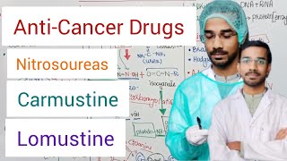 CARMUSTINE  LOMUSTINE  Nitrosoureas  Anticancer Drugs [upl. by Burns]