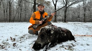 Vanatoare de mistret la goana  Wild Boar Driven Hunt [upl. by Twitt]