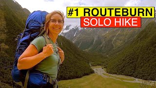 Routeburn magic The Shelter to Falls Hut NZ Great Walks 1 😎☀🥾 [upl. by Mala876]