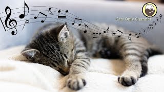 Cat Music  Sounds that Cats Love Harp Music and Water Sounds [upl. by Sakmar]