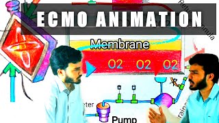 ECMO animation  working of ECMO  ECMO circuit components ECMO explained in animation [upl. by Kostman]